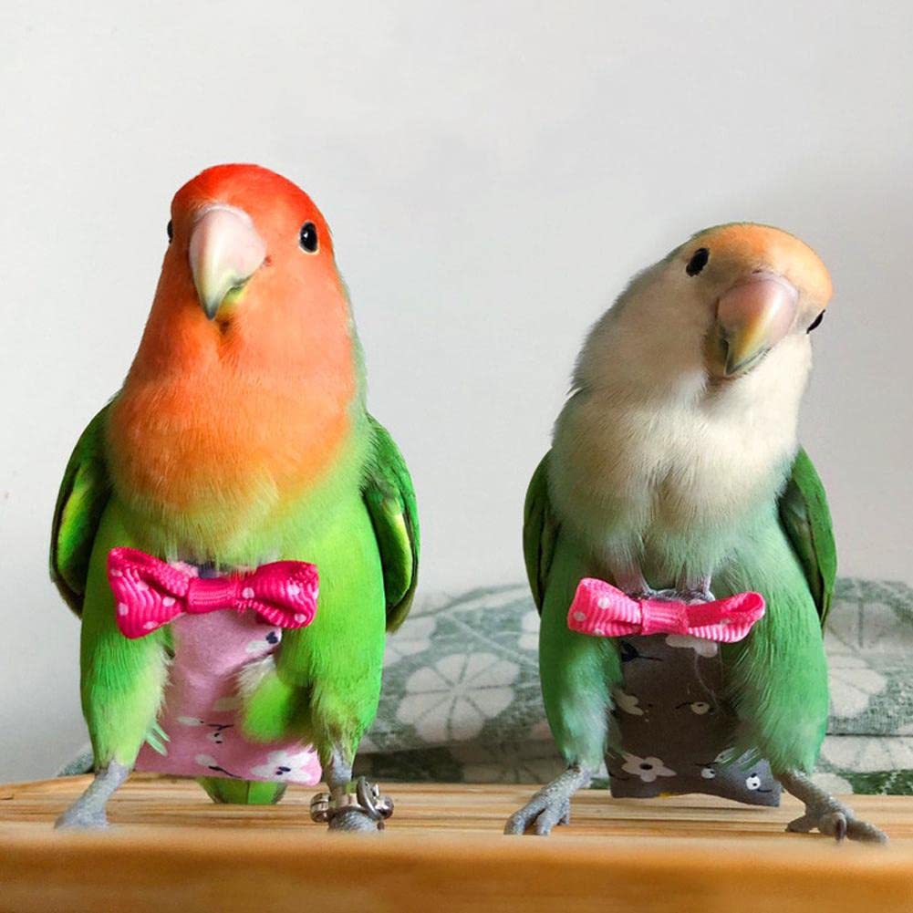 ZXCVWWE Pañal de loro con pajarita de frutas coloridas, floral, lavable, cacatúa, grande, pájaros, palomas, ropa mediana y pequeña, T2L6