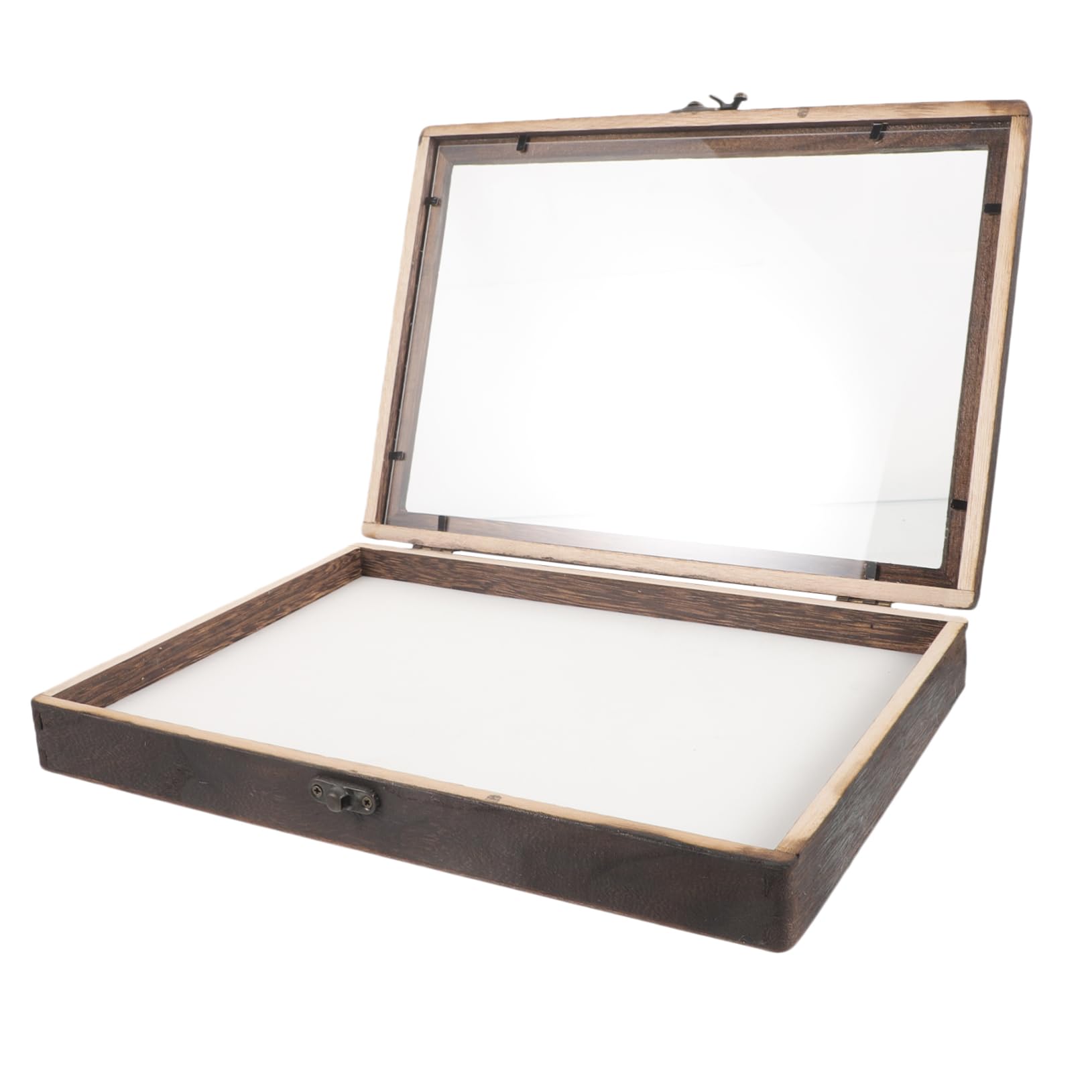 Holibanna Caja De Insectos Ventana Transparente Vitrina De Madera Diseño Colgante Para Muestras