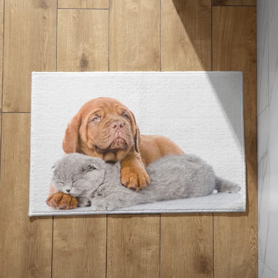 Tapis devant de porte extérieur et bain chatons chiots CEVAN 50x80cm