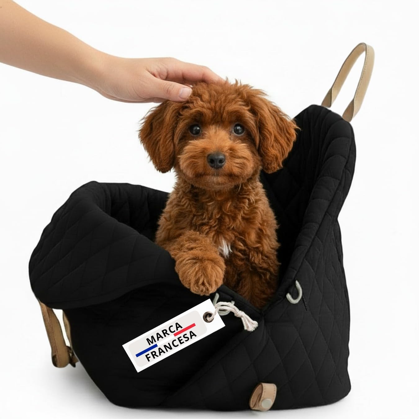 Transportín para Perro para Coche con cojín, Asiento de Coche para Perro, transportín para Perro pequeño hasta 3 kg, Bolso Bandolera para Gato con Correa de Seguridad, Cesta para Chihuahua | Bolsa con cojín, correa de hombro y cierres de seguridad