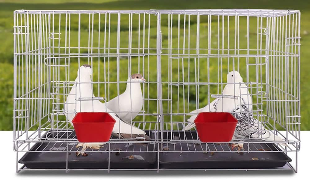 Paquete de 10 bebederos colgantes de 16 onzas para conejo, jaula de agua para pájaros, platos de comida para palomas, cuenco de riego con ganchos, dispensador de golosinas de semillas de