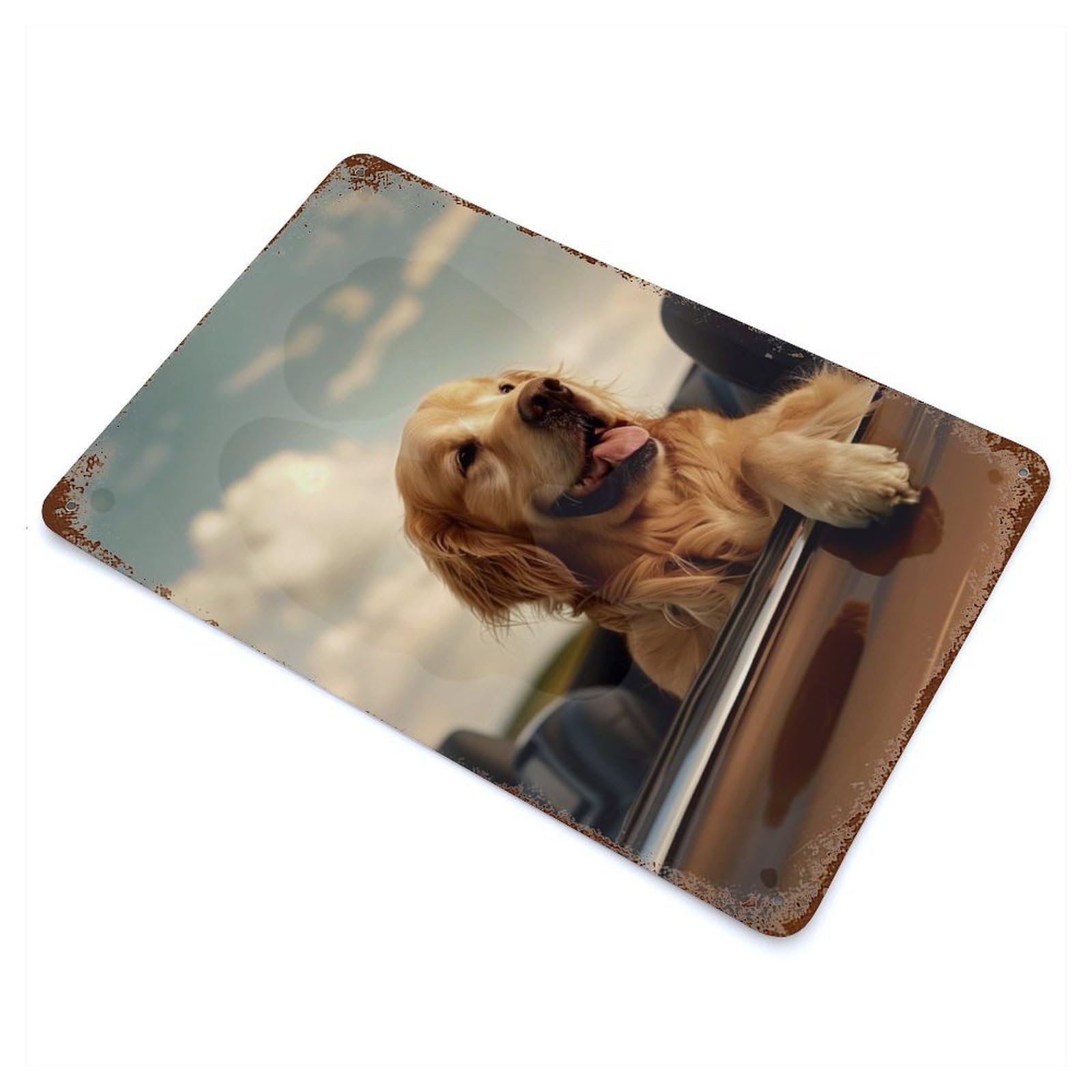 Rusty Metal Tin Sign Golden Retriever Cabriolet 11.8"x7.9", Industrial Home Decor for Patio, Garden Room And Bar Decor