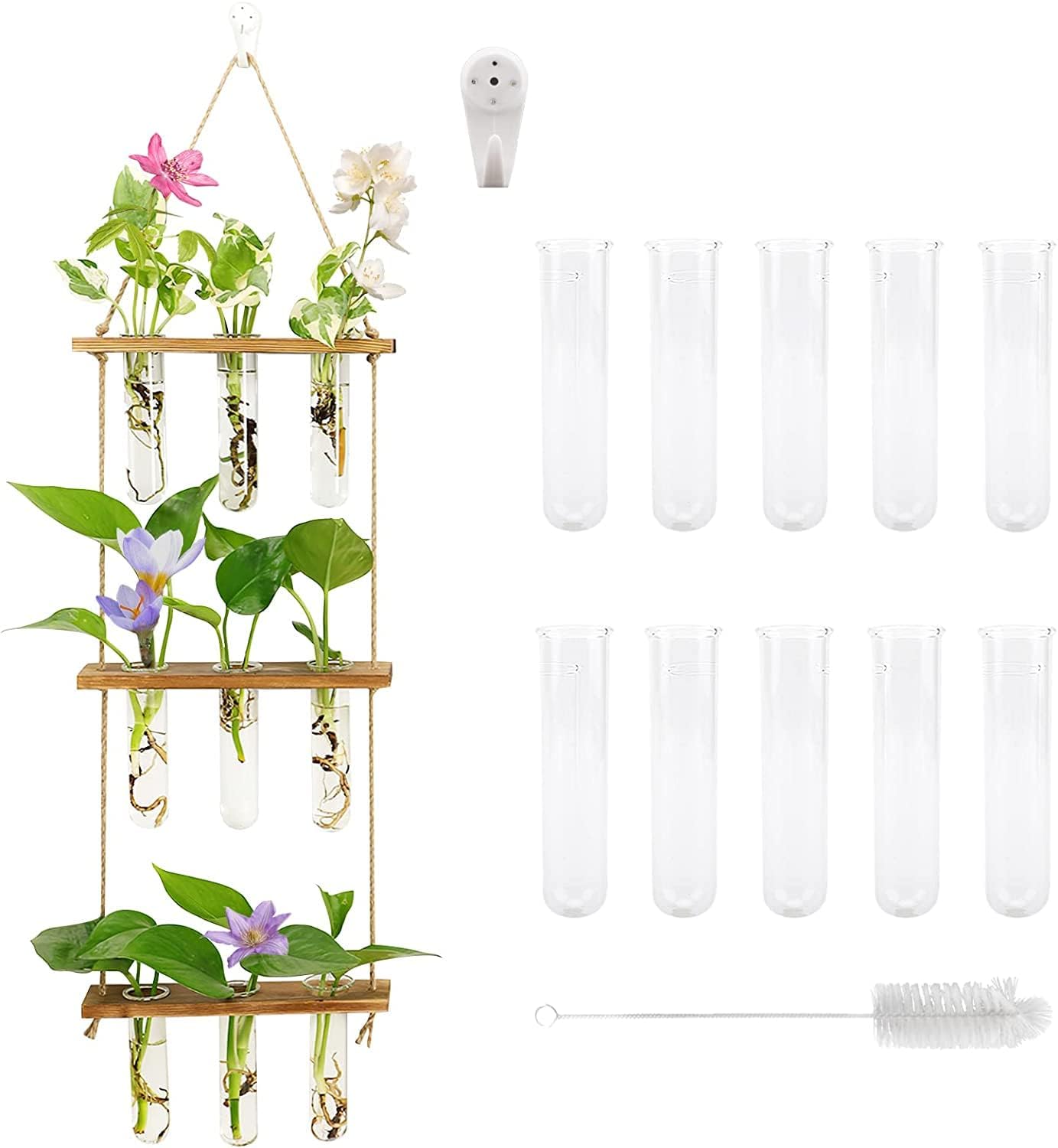 3-tlg. Pflanzen Glas Mit Holzständer - Hydroponik Vase Für Stecklinge