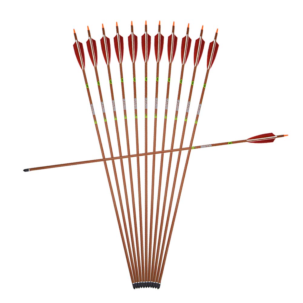 31 Pouces Flèches de Carbone pour Le tir à l'arc Spine 400 Plume de Naturelle Pointe de flèche 100 Grains pour la Chasse à l'arc à poulies Arc Classique (Flèches)