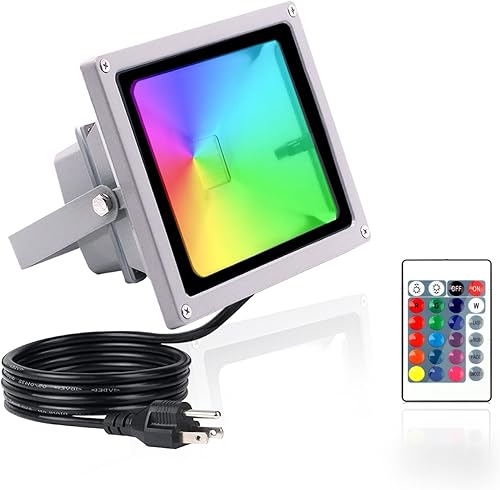 HANNAHONG Foco LED RGB de 10 W que cambia de color con control remoto, enchufe de cable de 5 pies, 4 modos de flash, regulable, IP 66 a prueba de