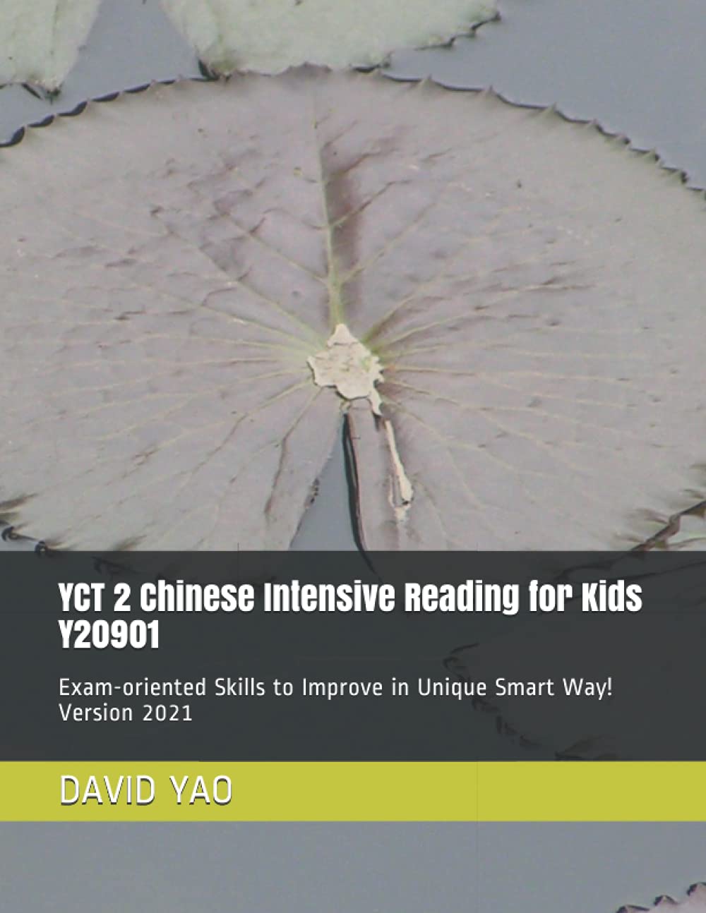 YCT 2 Chinese Intensive Reading for Kids Y20901: Exam-oriented Skills to Improve in Unique Smart Way! Version 2021 (HSK (Chinese Proficiency Test))