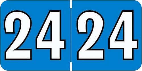 Doctor Stuff 2024 - Calcomanías para gráficos del año 2024, código de color azulnegro, estilo de tono de joya Colwell, etiquetas de año fabricadas