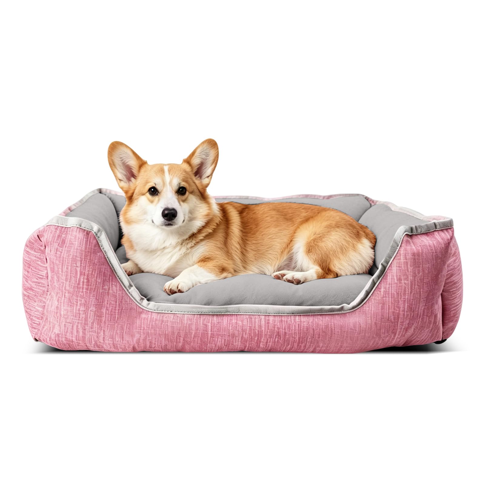 PETCUTE Cuccia per Cane da Interno Cuccia Gatto sfoderabile Cuccia Cane Morbida Lavabile Materassino Cane Taglia Piccola Media Grande
