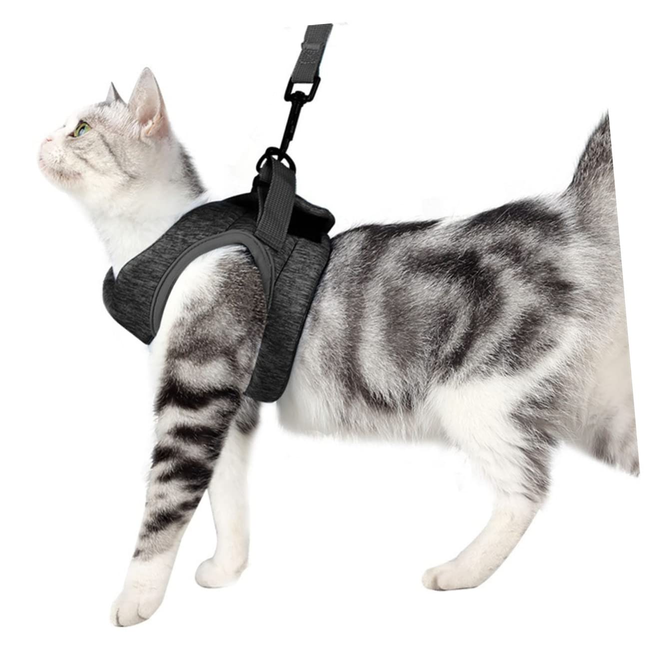 Sosoport 3 Pièces Gilet pour Animaux De Compagnie Harnais pour Chat Sangle De pour Chat Sangle De pour Animaux De Compagnie Harnais pour pour