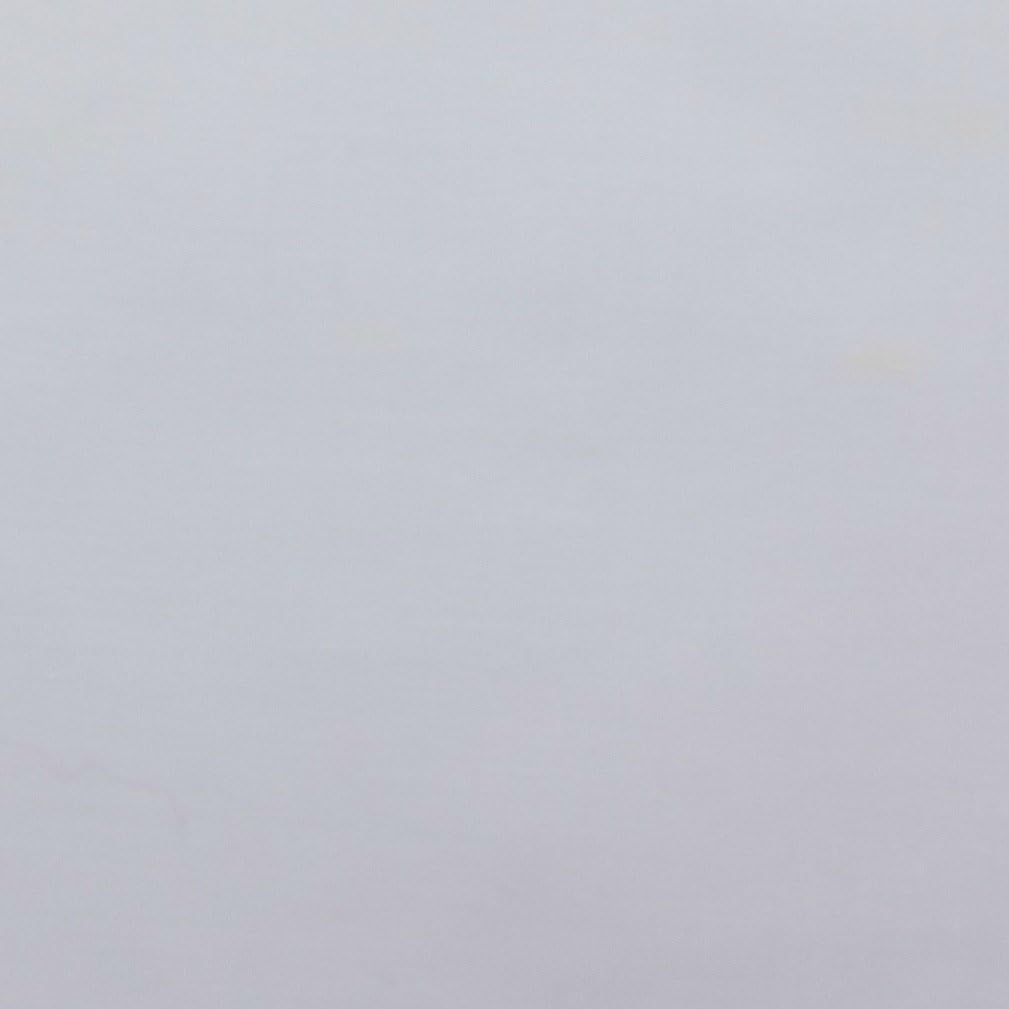 Cotton Polyester Broadcloth Fabric Apparel 45 Inch Wide (The Fabric Exchange) (2 Yards, White)