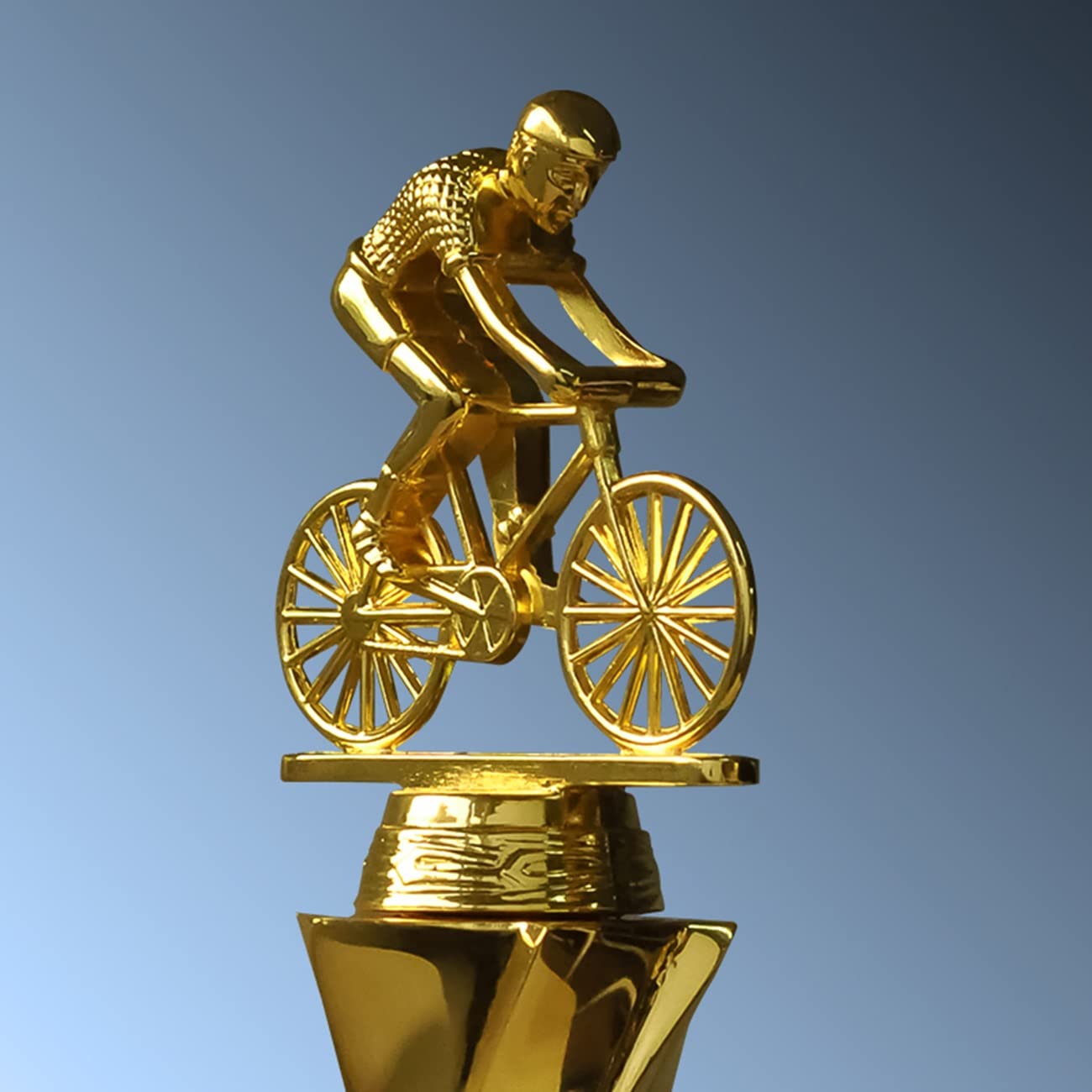 Trofeos, medallas y premios Trofeo De Campeonato De Carrera De Bicicletas Trofeo De Competición De Eventos Ciclistas Trofeo Premio Conmemorativo Trofeo De Honor Letras Gratis Trofeos