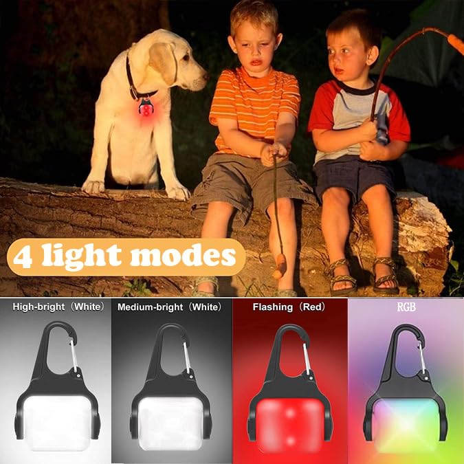 4 Modes Clip on Rechargeable Dog Collar Light, IP65 Waterproof Night Light, LED Safety Light for Running, Camping, Climbing, Bike, 2 Pack