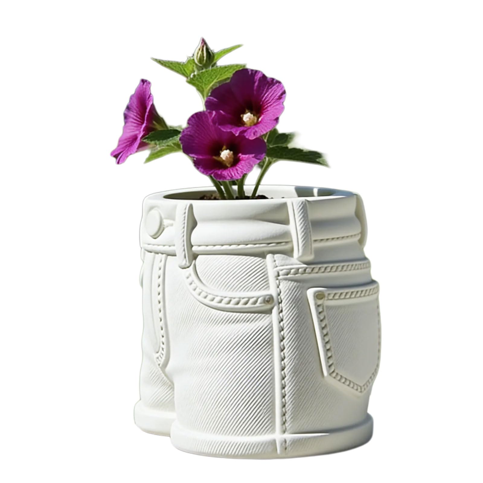 ZBIianxer Artistic Jeans Themed Plant Container Lovely Small Resins Planter for Cactus and Succulents Small Resins Planter