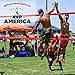 Park & Sun Sports Spectrum Classic: Portable Professional Outdoor Volleyball Net System, Yellow/Orange