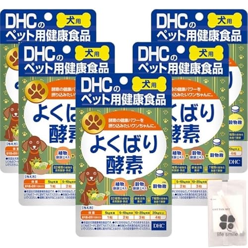 y5Zbgz DHC 悭΂_f 60 pTvg RbgZbgt