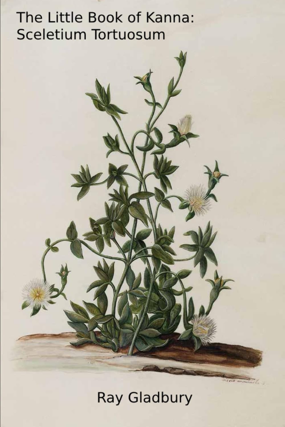 The Little Book of Kanna: Sceletium Tortuosum