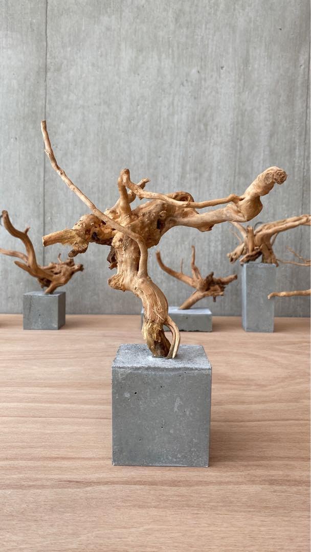 コンクリート盆栽 流木オブジェ】 アート アクセサリー インテリア