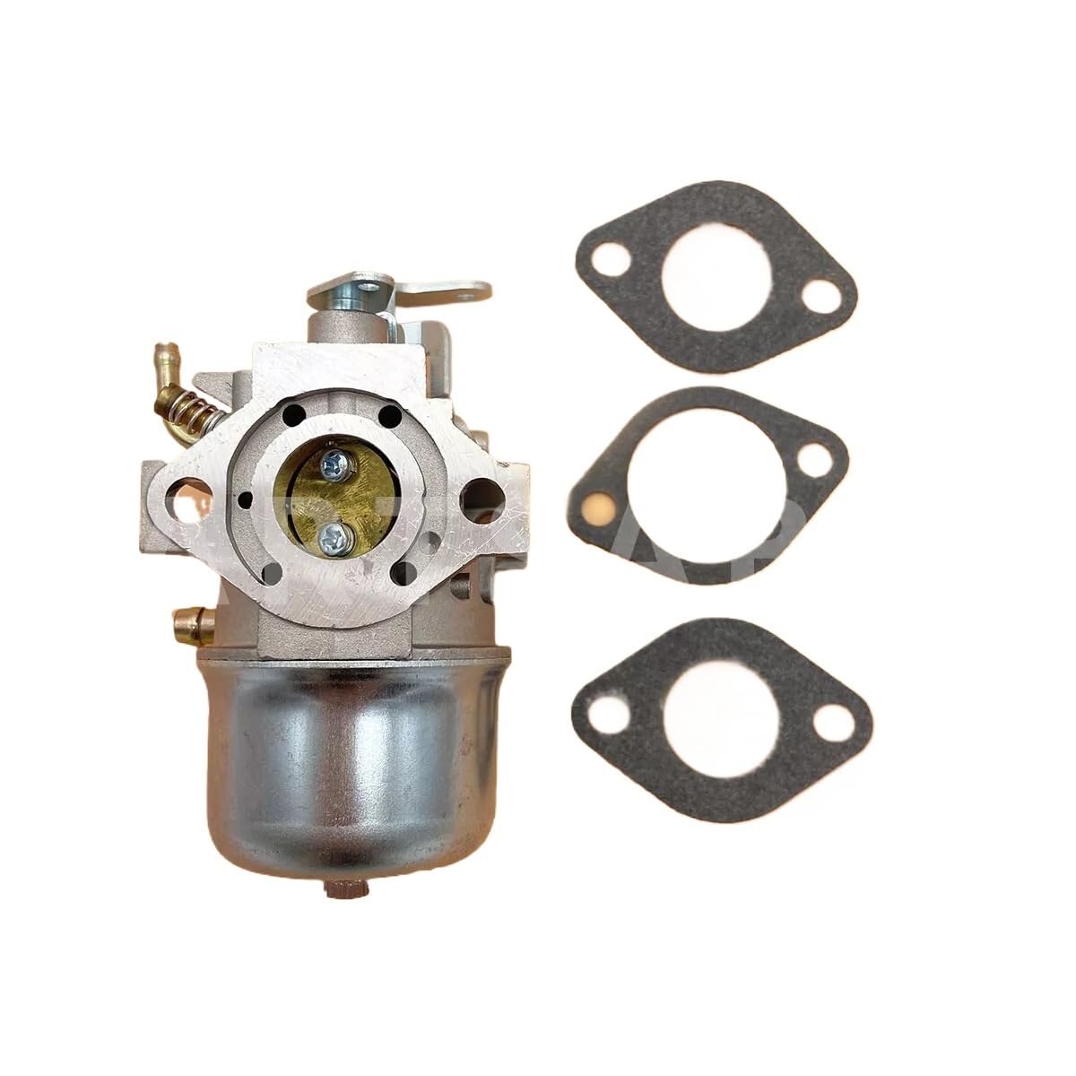 Carburateur pour résoudre les pannes de souffleuse Toro CCR2000 et CCR3000 Carb 95-7935