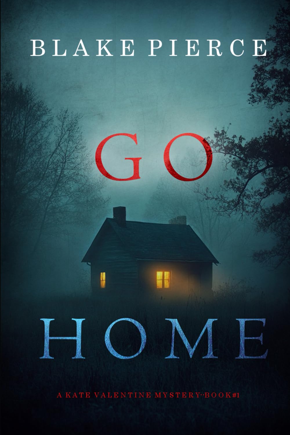 Go Home (A Kate Valentine FBI Suspense Thriller—Book One)