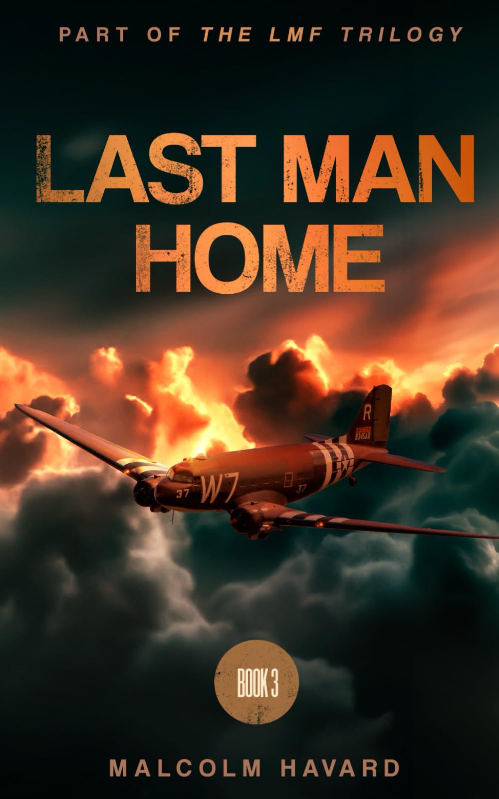 Last Man Home: Book 3 of the LMF trilogy (THE LMF FILES)