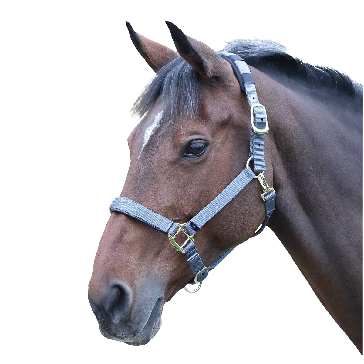 Shires Topaz Nylon Pony/Horse Headcollar - Grey XS Pony