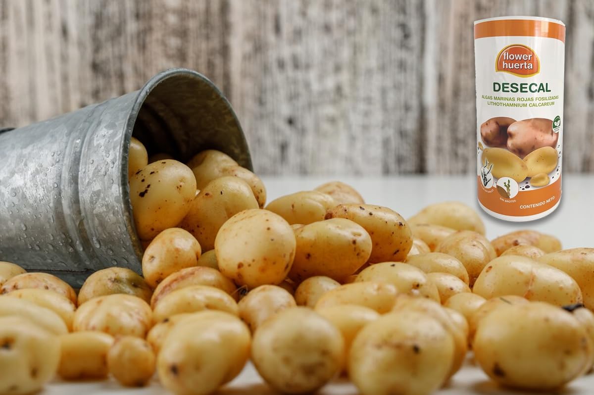 Sauvetates, Potato Grill, Germination and Germination Preservative with Seaweed Powder 400 g Potato Stems Natural Product
