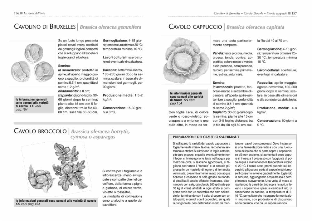 Il maxi libro dell'orto: Come progettare, organizzare e curare il tuo orto