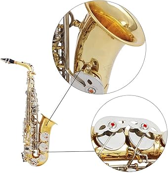 LADE Alto Saxophone QISUO Alto Saxophone Sax Glossy Brass Engraved