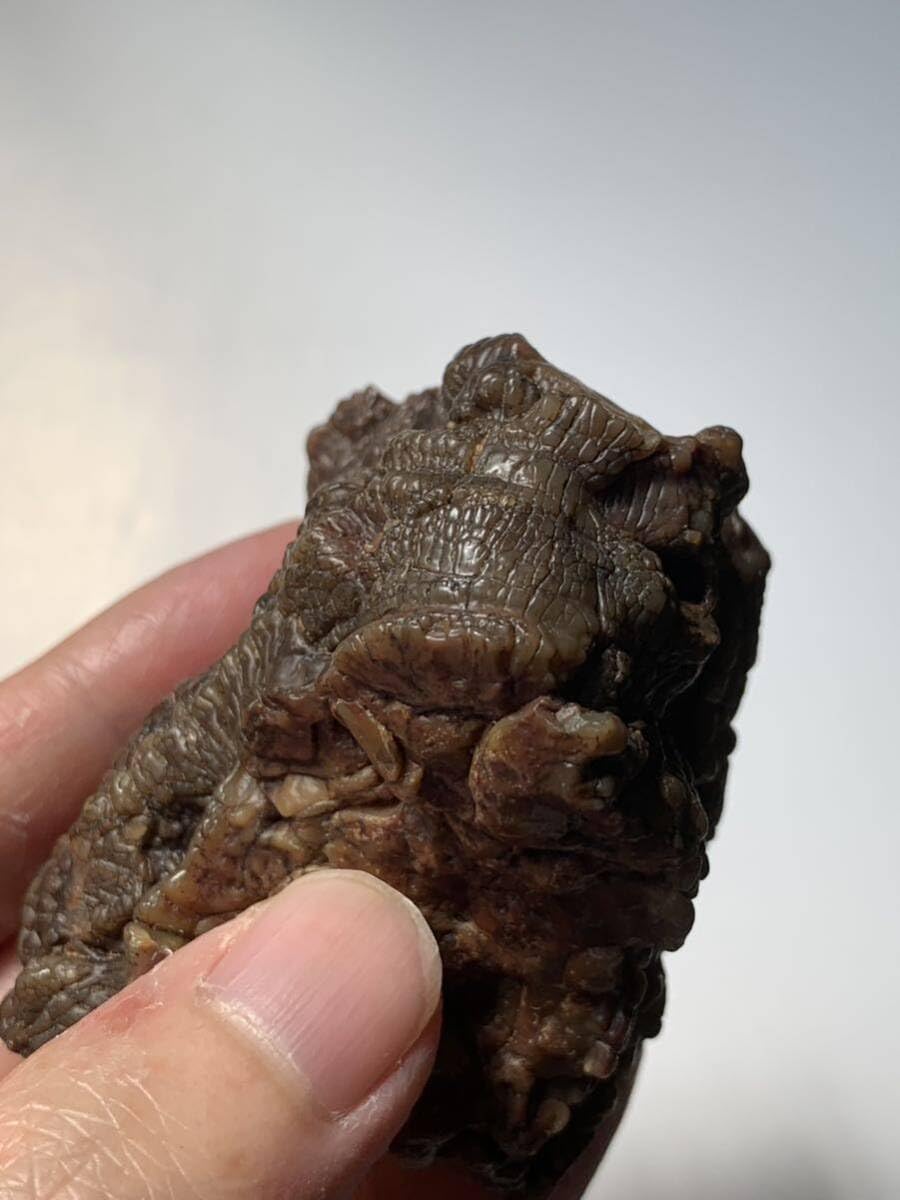 Amazon.co.jp: アラシャンゴビアゲート ゴビ瑪瑙 蒙古瑪瑙