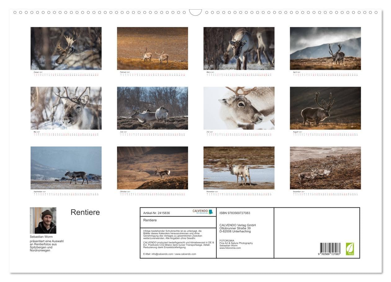 CALVENDO - Rentiere (Wandkalender 2027 DIN A2 quer), Monatskalender: Rentiere aus Nordnorwegen & Spitzbergen