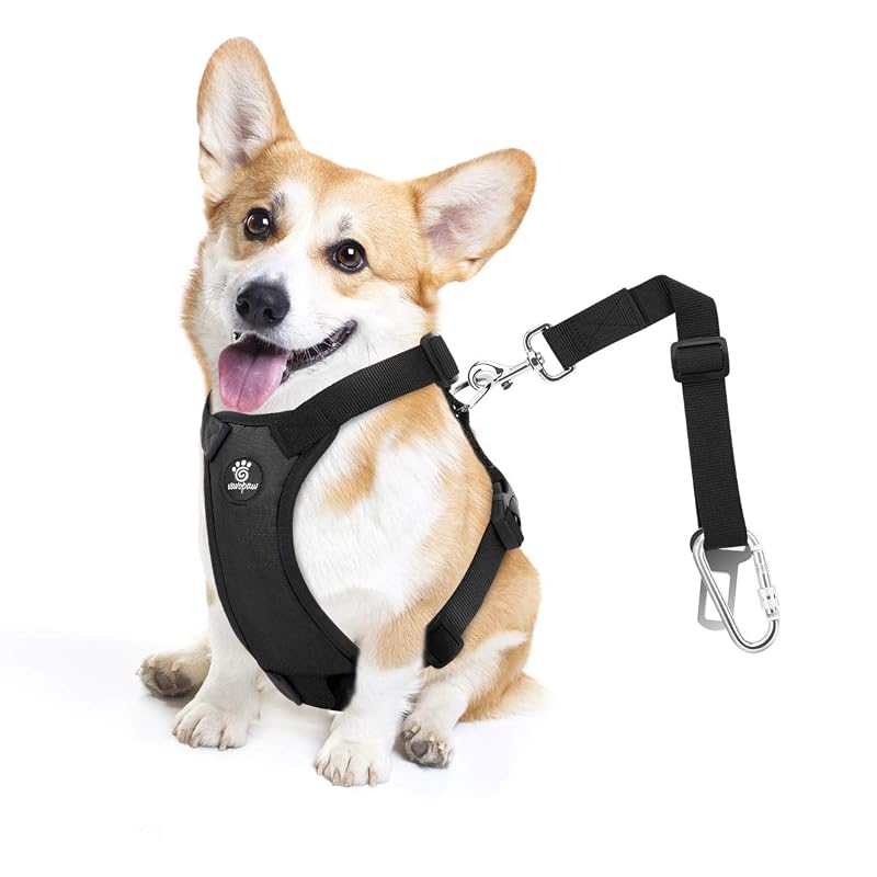 Cinto de Segurança para Cães com Peitoral Vest VavoPaw 2 em 1 Preto S