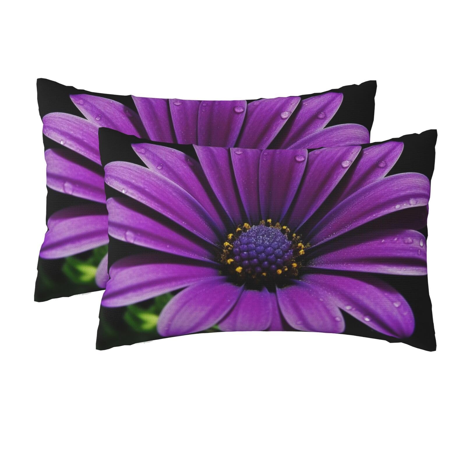 2 Pack Queen Size Pillow Cases for Hair and Skin Soft Breathable Pillow Case Covers with Hidden Zipper Purple Daisy Pillowcase 20x30 Inches Pillow Cover for Sleeping Gift