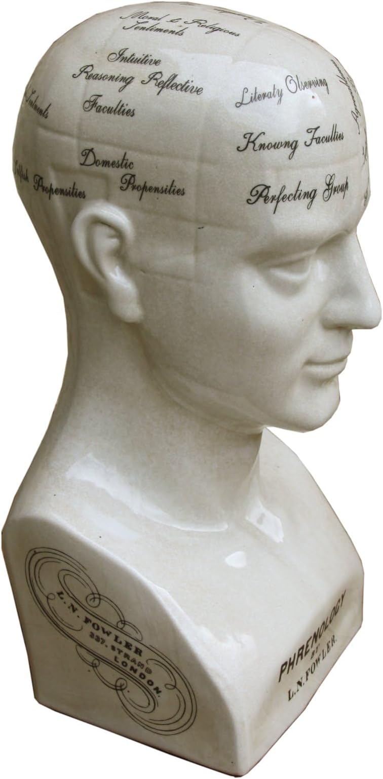TANGDIAABBCC Honbeanify Large Distressed Glazed Ceramic Phrenology Head