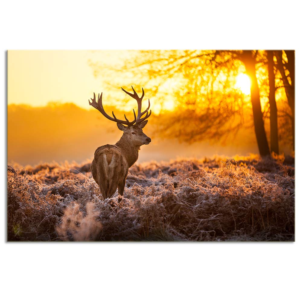 KALAWA Deer Elks in Autumn Sunset Forest Pictures Modern Animal