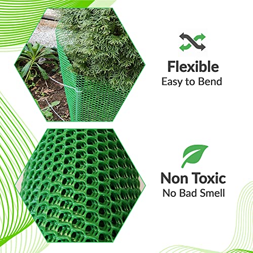 QueenBird Upgraded Plastic Chicken Wire Fence Mesh - 15.7IN x 10FT- Black/Green/White Colors - Hexagonal Fencing for Gardening - Poultry Netting, Floral Netting, Plastic Chicken Wire Mesh Roll (Green)