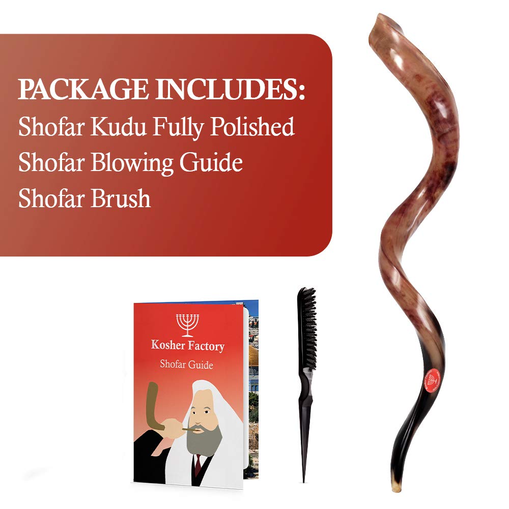 88,9 cm - 94 cm, hochwertiger Yemenit Schofar Koscher & Politur + Gratis Tasche