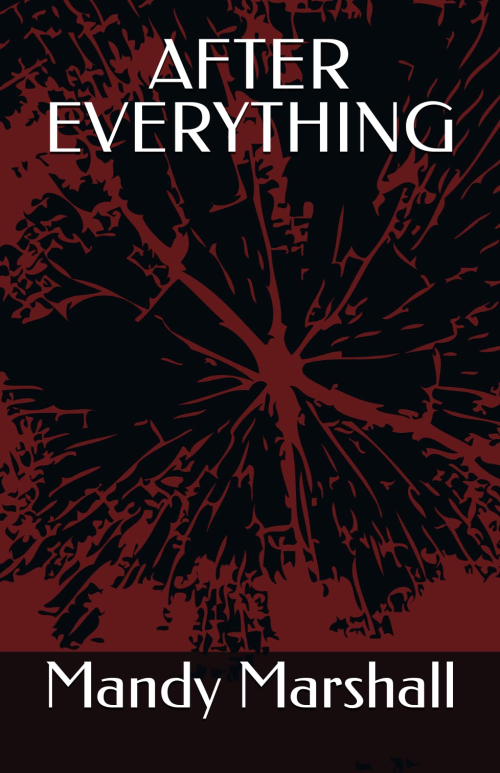 AFTER EVERYTHING