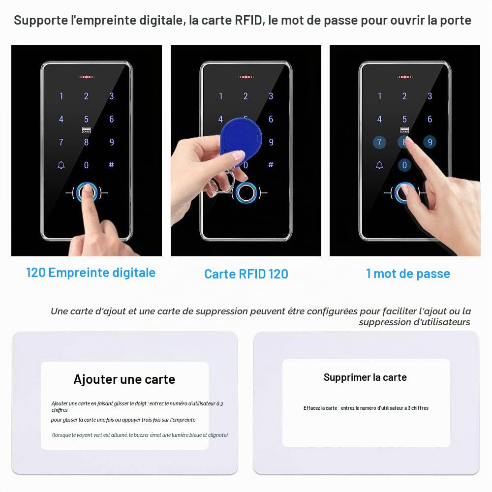 FST Kit de Système de Contrôle d'accès de Porte IP68 Clavier RFID d'empreinte Digitale étanche + Serrure Magnétique électrique 180KG + 10 pièces Porte-clés pour la Maison Extérieure