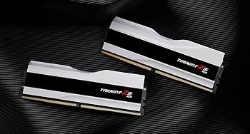 Amazon.com: 48GB G.Skill DDR5 Trident Z5 RGB 8200MHz CL40