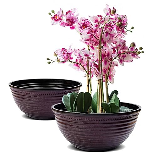 2 Pack 10 Inch Plant Pots,Durable Decorative Flower Pots Planters