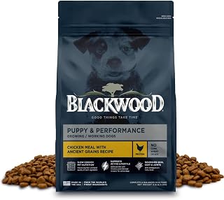 Blackwood Puppy & Performance Dry Dog Food, Chicken Meal with Ancient Grains, 4.5 Pound Bag for Growing & Working Dogs, Supports Active Lifestyle