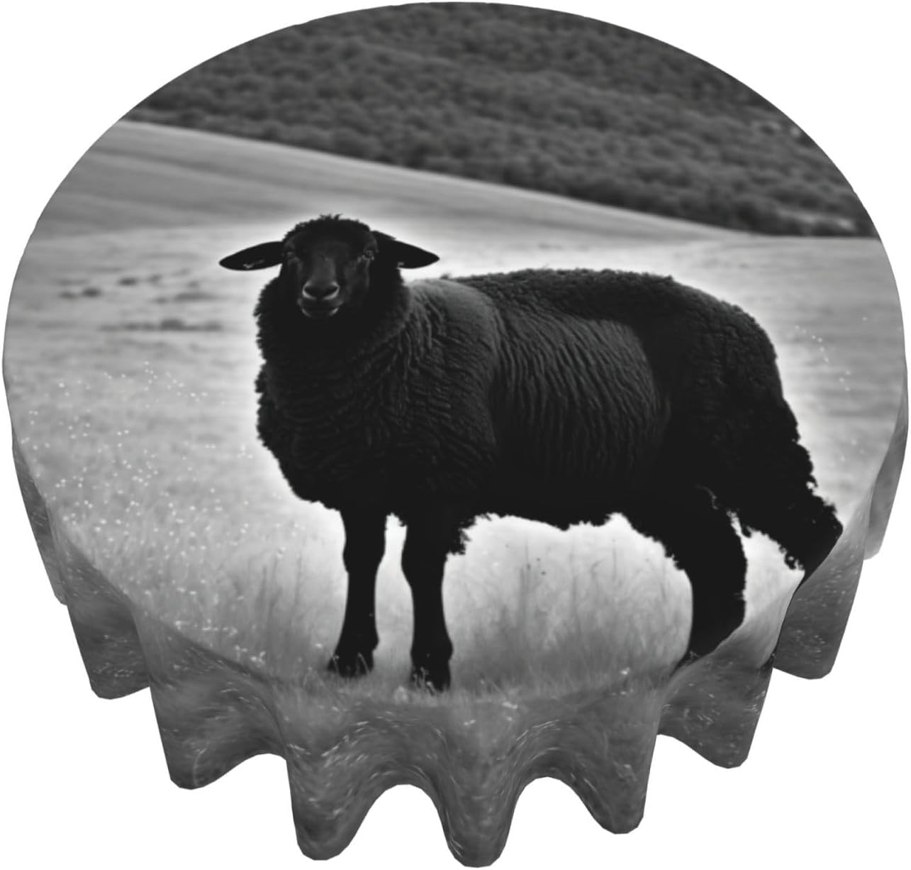 Cute Sheep Lamb Print Wrinkle Free Dining Table Cover for Birthday Party Farmhouse Tablecloths Up to 60 x 60 Inches