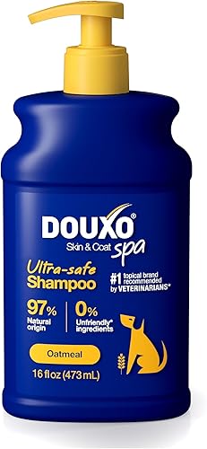 DOUXO® Skin & Coat SPA - Champú de avena ultra seguro para perros, 16 onzas líquidas, limpia e hidrata profundamente la piel, deja el pelaje suave