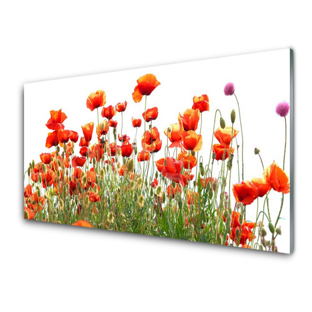 Tableau Décoration Coquelicots en Verre Trempé 100x50cm pour Salon Nature