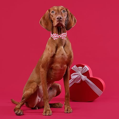 Miniatura 9 de DOGWONG Collar de perro de trébol de la suerte verde con corbatín, suave y ajustable para el día de San Patricio, collar de cachorro para perros