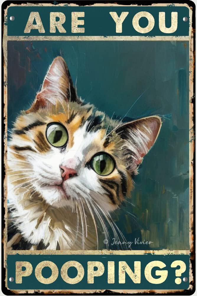 Señalamientos y Placas