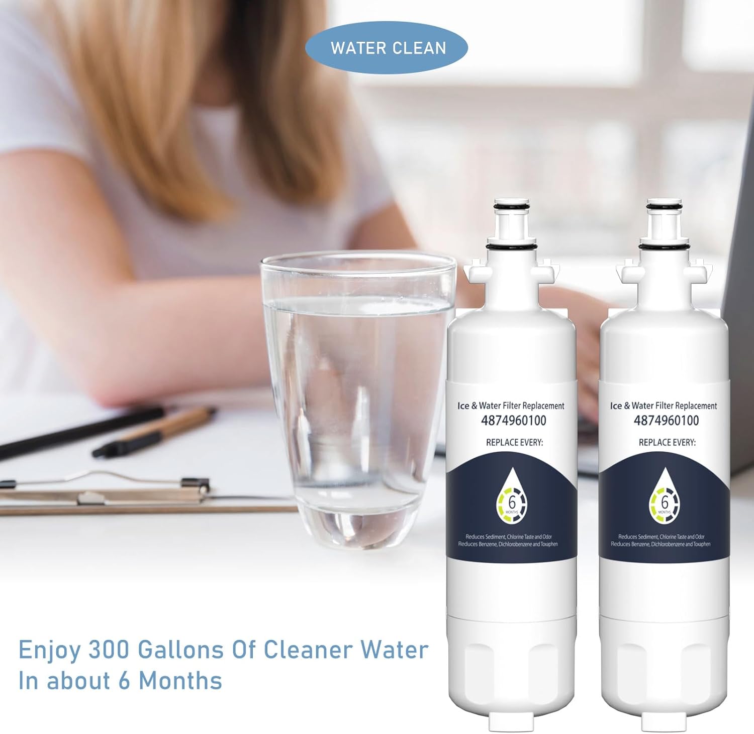 4874960100 Water Filter Replacement Cartridge, Compatible with Blomberg Beko 4874960100 Water Filter, 2 Pack
