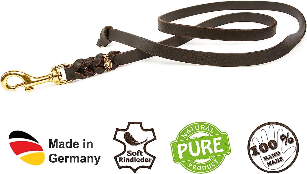 Hundeleine Leder 10m kleine Hunde – Schleppleine [ohne Handschlaufe] Lederleine Hund geflochten leicht – Führleine & Trainingsleine aus robustem Rindsleder, Messingkarabiner, Dog Leash 10mm, Schwarz