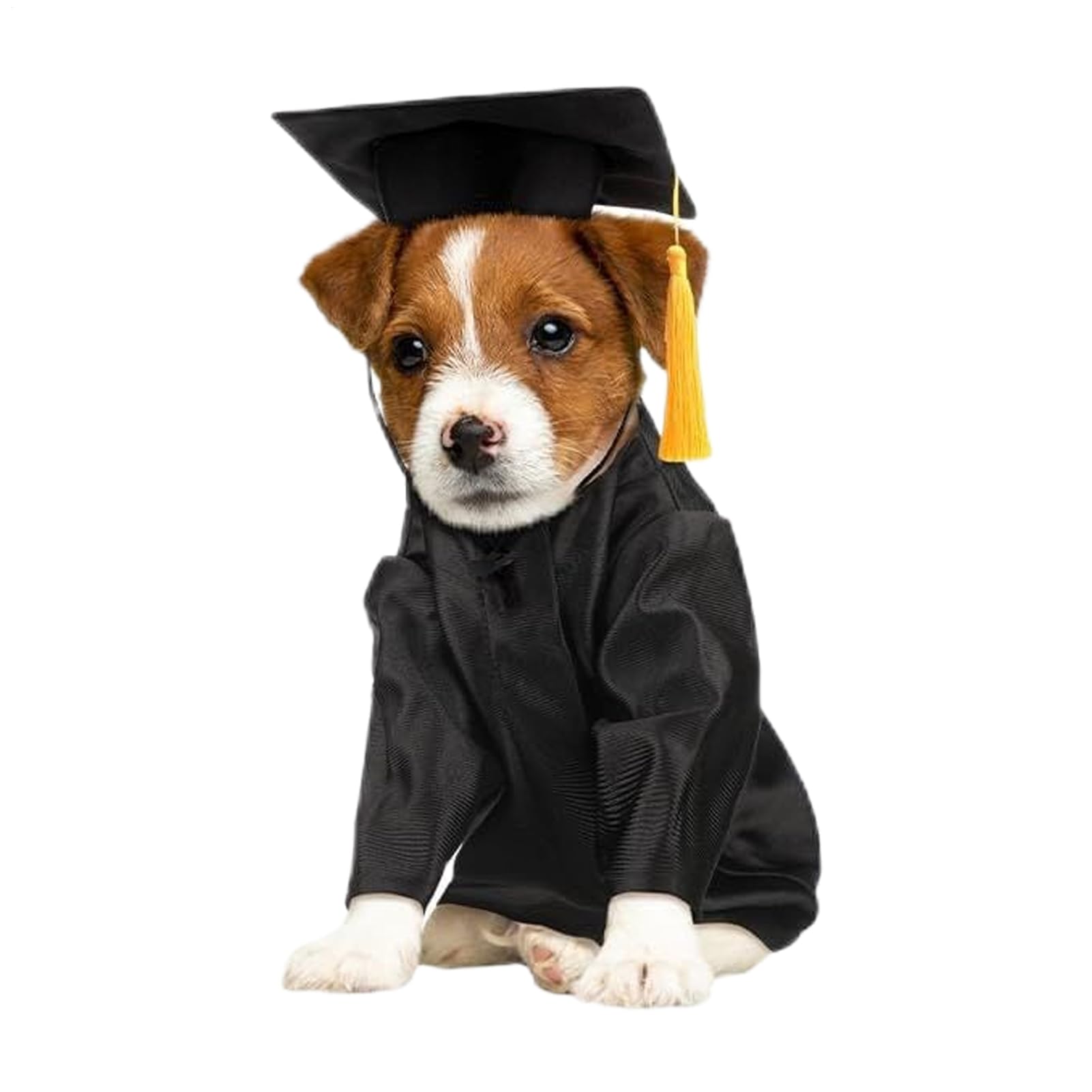 Cat Graduation Hat and Gown,Dog Graduation Costume Set with Tassel | Washable Shirt Pet Clothes with Tassel Costume Set for Puppy, Dolls & Halloween