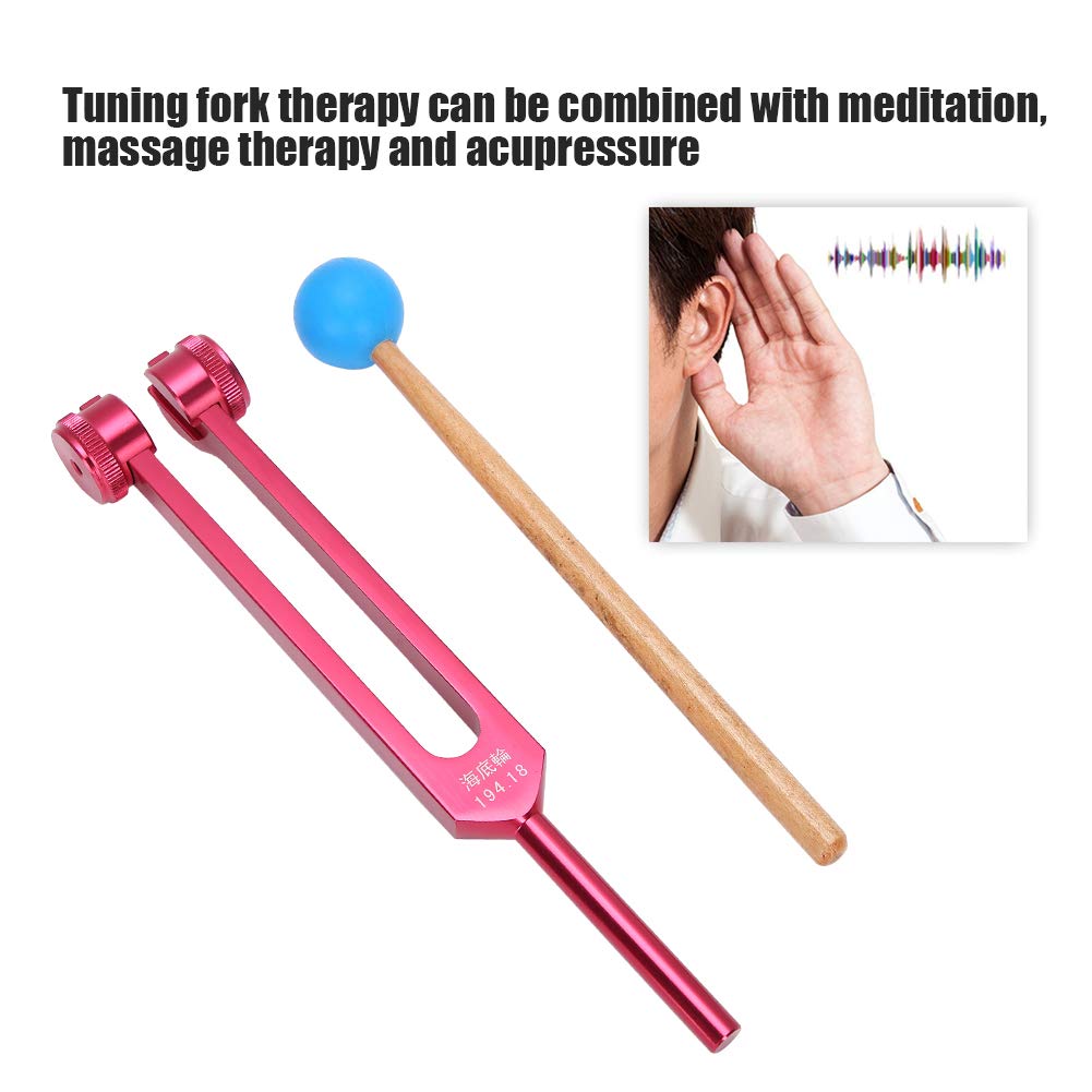 Brrnoo 194.18Hz Diapason pour Examen auditif médical ORL d'otologie avec Marteau en Silicone et Chiffon de Nettoyage, emballé dans Un Sac de Rangement Souple